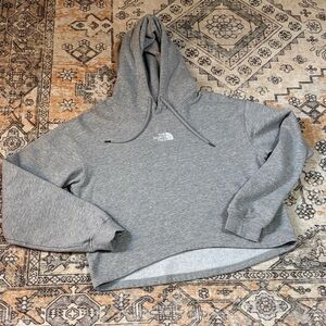 THE NORTH FACE L Evolution Hoodie Cropped High Low Hoodie in Gray